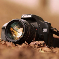 孝陵卫威斯布鲁克